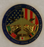 Electromagnetic Attack Squadron 142 (VAQ-142) Gray Wolves Navy Challenge Coin