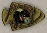 442D Fighter Wing Air Force Challenge Coin