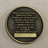 CABLE DAWG BY GOD Communications / Comm E&I Bronze Air Force Challenge Coin