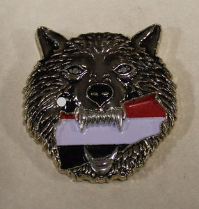 INFORMATION: Special Warfare DEVGRU SEAL Team 6 Silver Squadron Yemen 2017 Silver Eyed Wolf Navy Challenge Coin