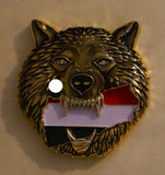 INFORMATION: Special Warfare DEVGRU SEAL Team 6 Silver Squadron Yemen 2017 Silver Eyed Wolf Navy Challenge Coin