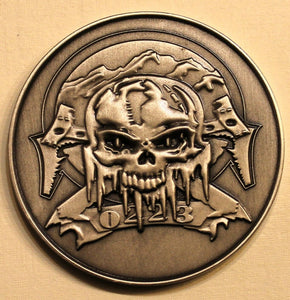 10th Special Forces Group Airborne 2nd BN B Co ODA-0223 Army Challenge Coin