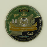 Ranger Bravo Co Bad Karma 1-12 INF Op Enduring Freedom Army Challenge Coin