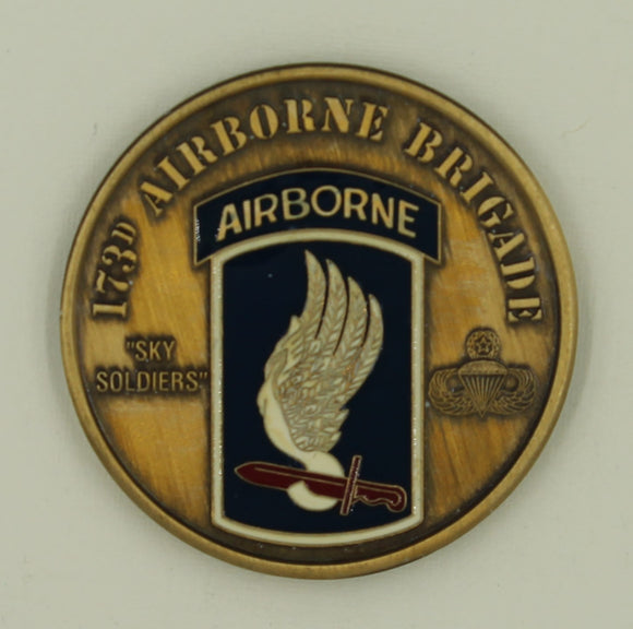 101st Airborne Division 173rd Parachute Infantry Regiment PIR Army Challenge Coin