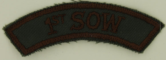 1st Special Operations Wing SOW Shoulder Combat Air Force Patch