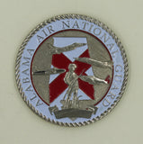 100th Fighter Squadron Dixie Vipers Air Force Challenge Coin