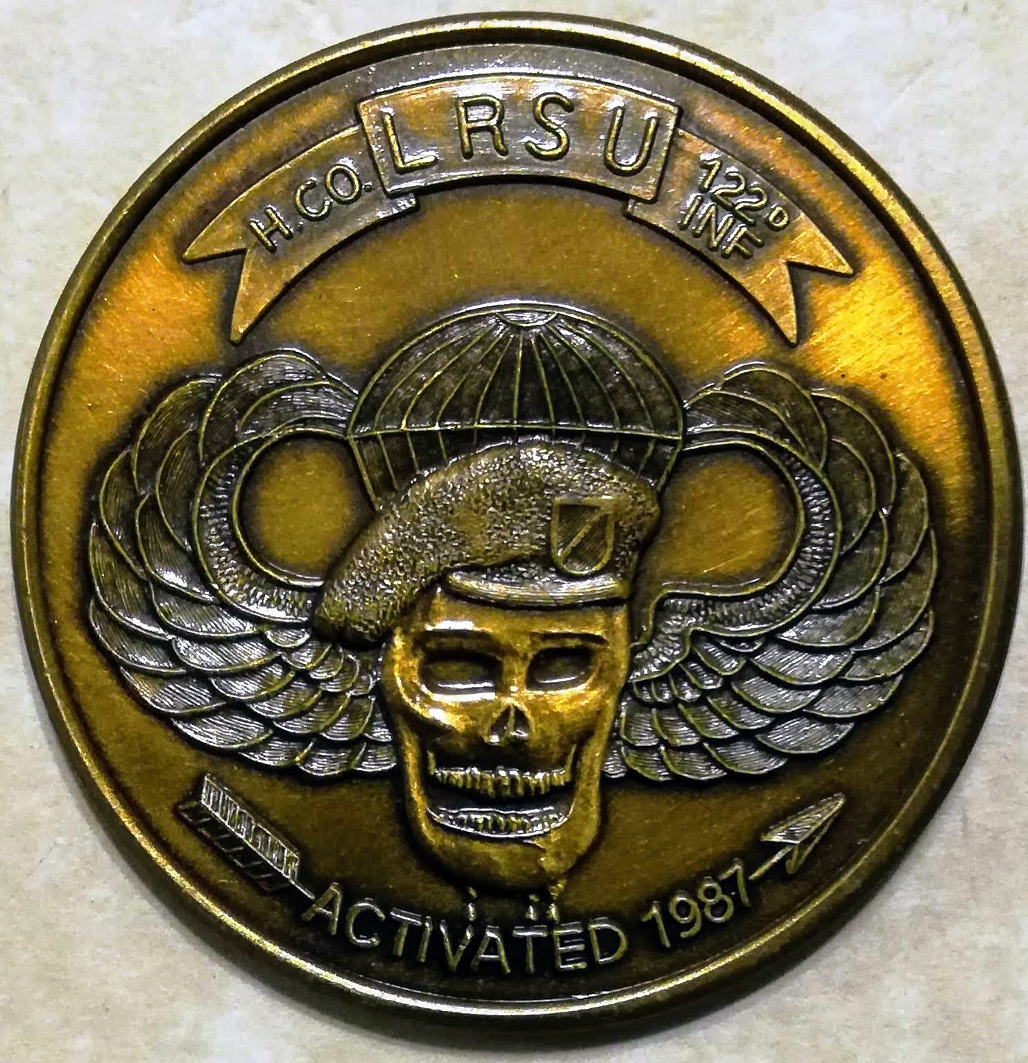 122nd Infantry Long Range Surveillance Unit LRSU Ranger serial #'d Arm ...