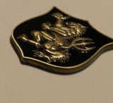 Naval Special Warfare Development Group DEVGRU SEAL Team 6 Gold Squadron Navy Challenge Coin
