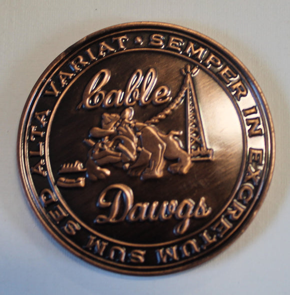 130th Engineering Installation Squadron Cable Dawgs Wizards E&I Air Force Challenge Coin