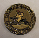 325th Bomb Squadron Alley Oops 509th Bomb Wing B-2 Stealth Bomber Air Force Challenge Coin