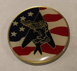 F-117 Nighthawk Stealth Fighter Pilot Bandit 171 Air Force Challenge Coin